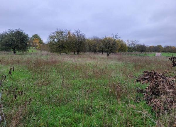 Terrain à vendre    Rupt-aux-Nonains