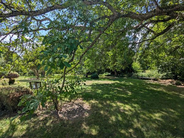 Propriété 150m2 4 chbres. Terrain 5 500m2