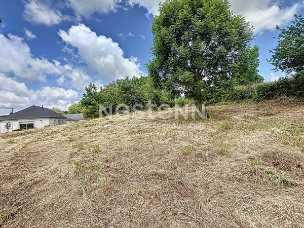 Terrain constructible avec vue dégagée - Donzenac (19270) - 2279 m2