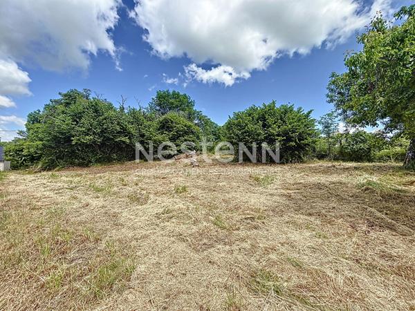 Terrain constructible avec vue dégagée - Donzenac (19270) - 2279 m2