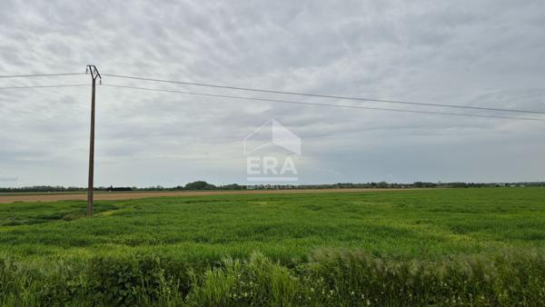 Maison Grisy Suisnes 7 pièce(s) 159 m2