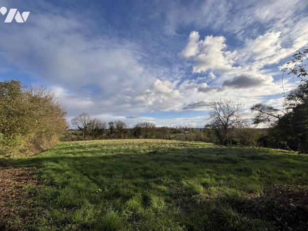 Maison à la campagne avec plusieurs dépendances et plus d’1 hectare de terrain. 