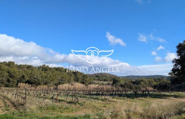 Propriété viticole avec vignoble, habitations et batiments de stockage