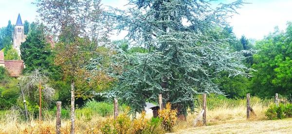 Maison ancienne Neuville-lès-Decize 175 m²