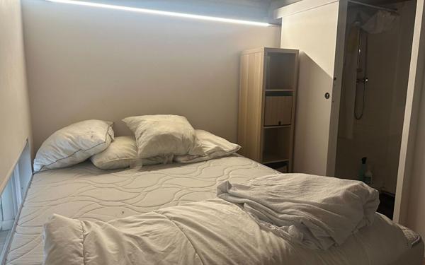 Appartement à louer    1 pièce • 21,76 m2 Lyon 1