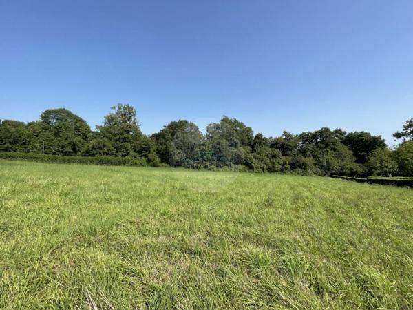 Superbe terrain au calme , 10 min d'HAGETMAU