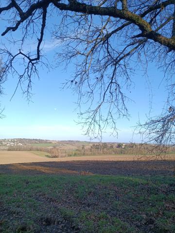 Terrain 703 m2