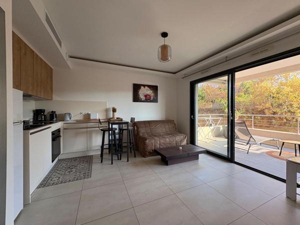 AGREABLE T1 AVEC GRANDE TERRASSE AU MILELLI