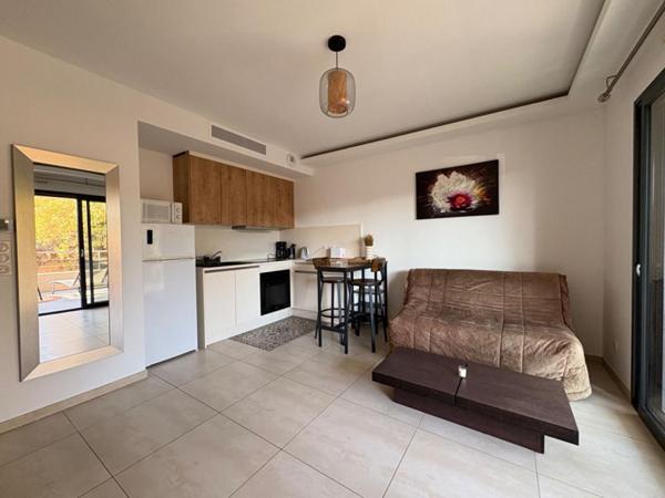 AGREABLE T1 AVEC GRANDE TERRASSE AU MILELLI