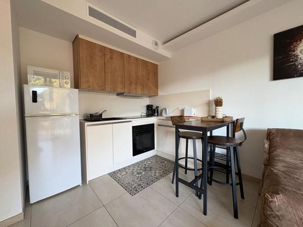 AGREABLE T1 AVEC GRANDE TERRASSE AU MILELLI