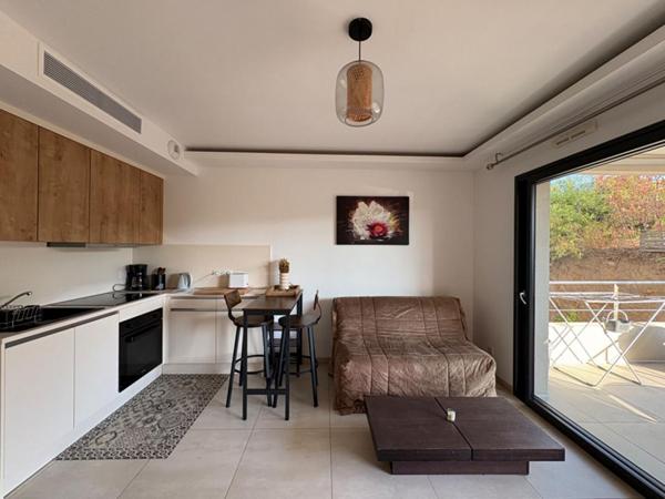 AGREABLE T1 AVEC GRANDE TERRASSE AU MILELLI