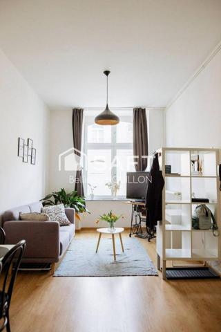 Appartement Lunéville Château