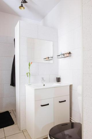 Appartement Lunéville Château