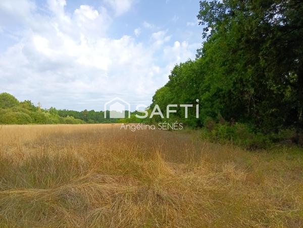 Magnifique terrain agricole plat et irrigué