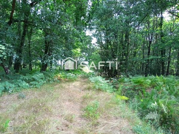 Magnifique terrain agricole plat et irrigué