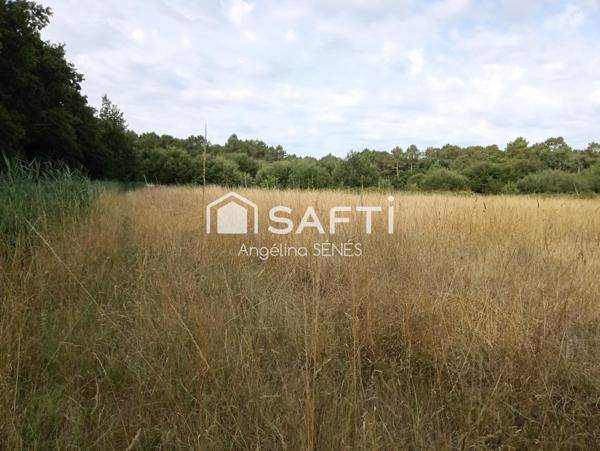 Magnifique terrain agricole plat et irrigué