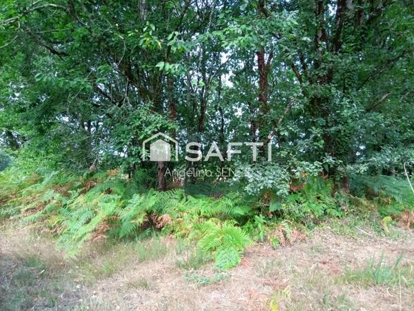 Magnifique terrain agricole plat et irrigué