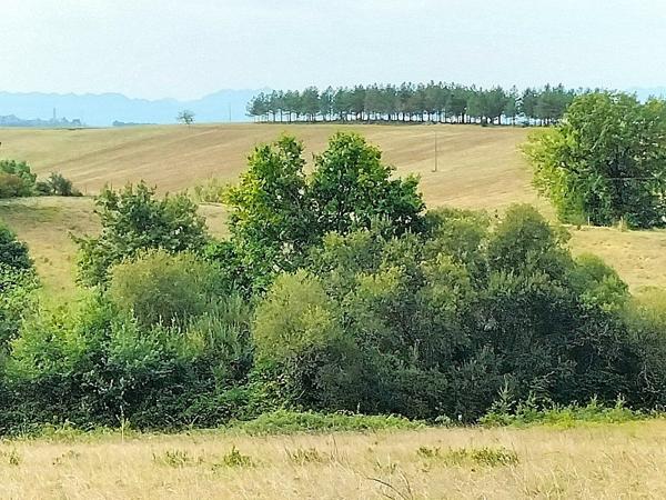 À vendre - Terrain agricole 267883 m² situé à Margouët-Meymes (32290)