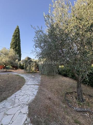 Maison plain pied sur terrain avec eau du canal de 2984 m².
Elle se compose : 1 hall, 1 séjour salon, 1 cuisine, 2 chambres, 1 wc, 1 salle d'eau, 1 studio avec salle d'eau wc. terrasse couverte et fermé. A l'extérieur : 1 piscine (coque 8x4.50), 1 abris de jardin bois et 1 métallique.
Eau du canal.
Prévoir travaux isolation de certaines fenêtres, électricité, plomberie, peinture, remise au gout du jour.
Proche des écoles. Quartier calme.