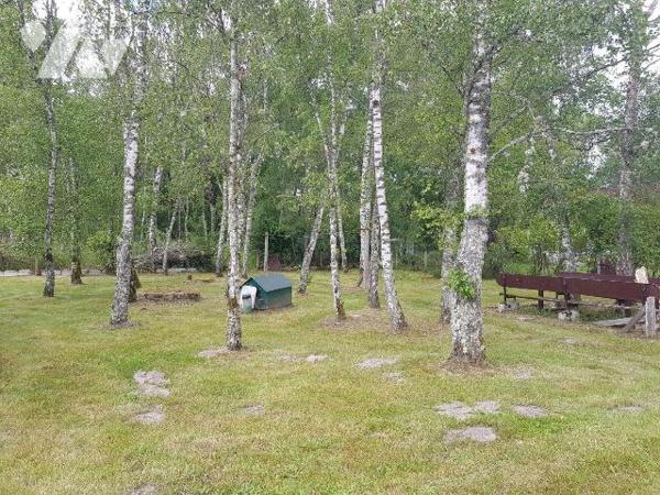 A vendre - A MENNETOU SUR CHER - Cette maison d'habitation sur sous-sol d'une surface habitable...