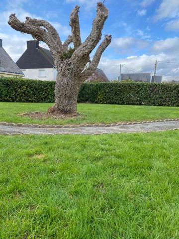 Terrain Sene 281 m2 bourg