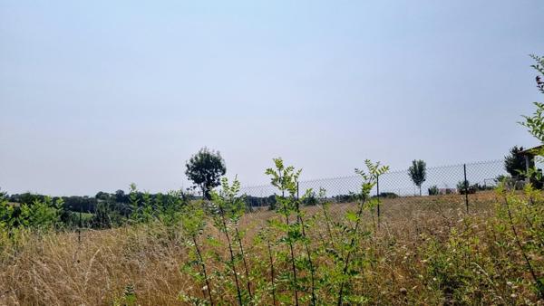 Terrain constructible