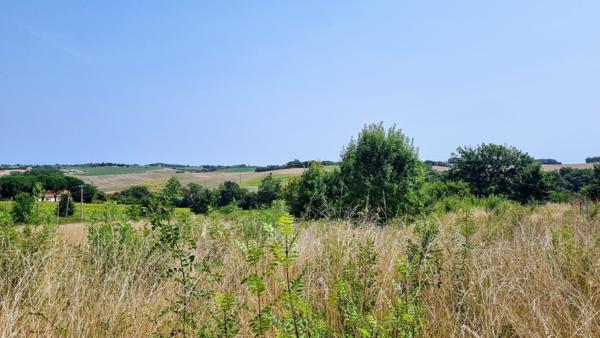 Terrain constructible