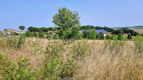 Terrain constructible