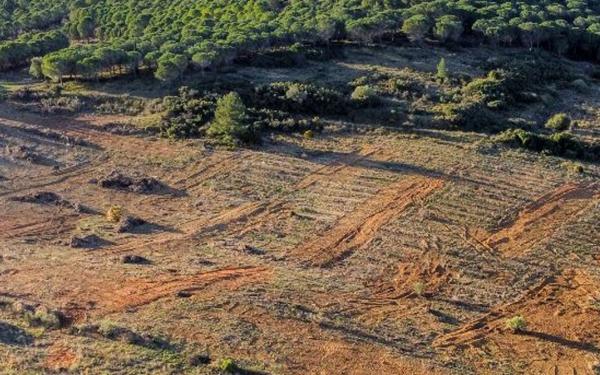 Terrain à vendre    Narbonne