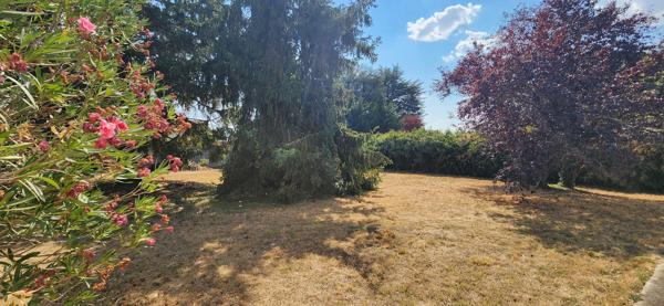 VIVONNE - MAISON - SOUS SOL - JARDIN