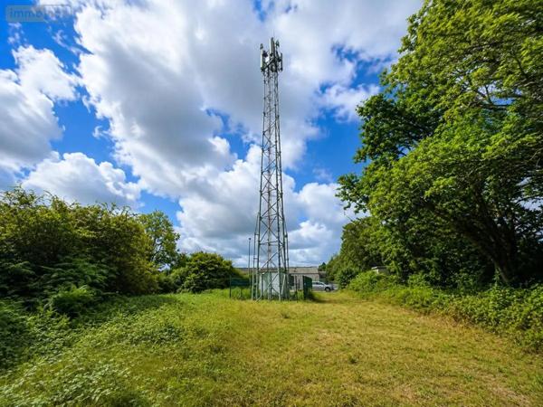 Achat - Terrain de loisirs, bois, étangs Pluguffan 29700 1063 m 2
