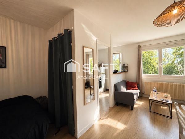 Investissement locatifs meublé et déjà loué