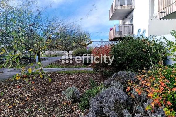 Appartement 3 pièces - 65 m² Exclusivité efficity