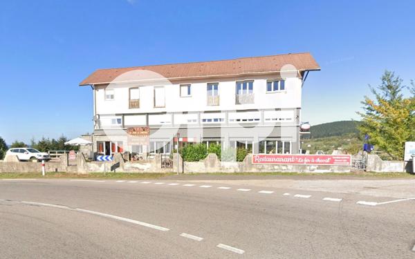 Immeuble à vendre    16 pièces •  Fraize