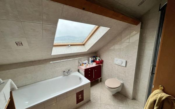 Immeuble à vendre    16 pièces •  Fraize