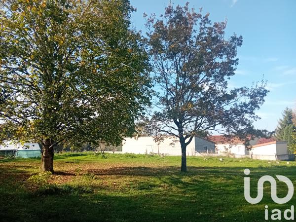 Terrain à vendre 1 600 m² Prunet