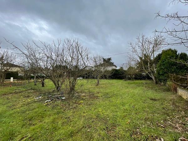 Vente                                                      Terrain
                        
                                         1016 m2                     à Poitiers