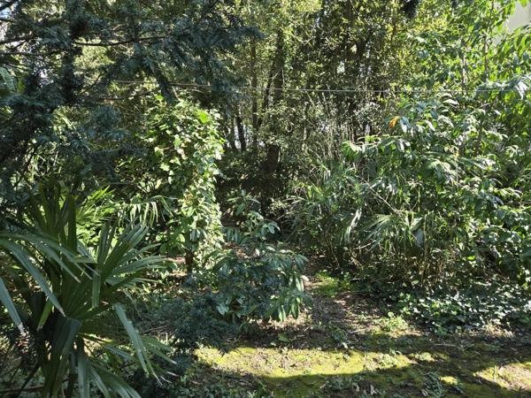 Appartement 3 pièces avec jardin privatif 250 m² + dépendances