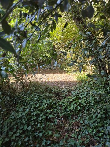 Appartement 3 pièces avec jardin privatif 250 m² + dépendances