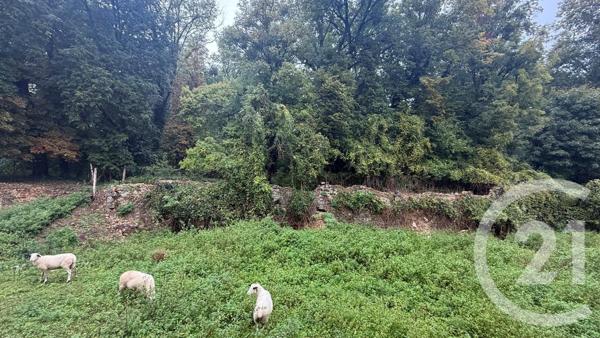 Appartement F3 à vendre  3 pièces - 85 m2 PASSY - 89