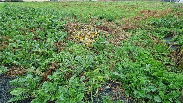 Terrain à vendre |  Treffiagat |  932 m²