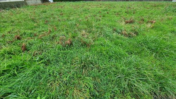 Terrain à vendre |  Treffiagat |  932 m²