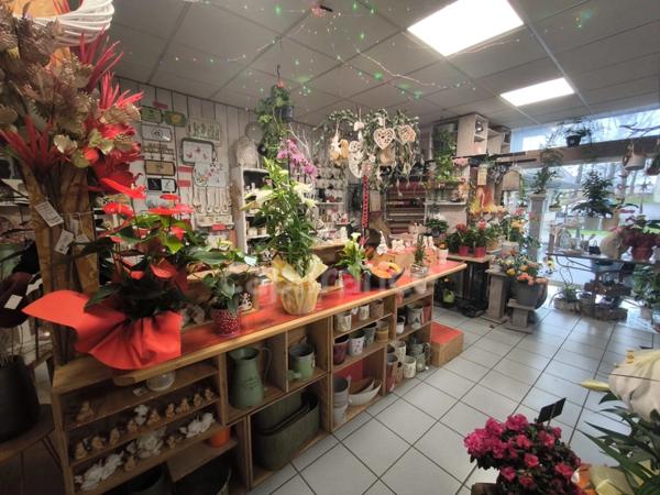 MURS ET FOND DE COMMERCE à vendre NERONDES (18)