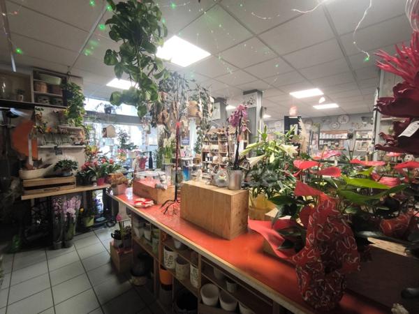 MURS ET FOND DE COMMERCE à vendre NERONDES (18)