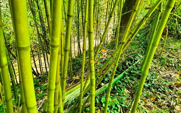 Maison à vendre    4 pièces • 122 m2 Baix