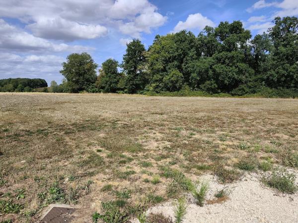 Terrain viabilisé de 3 132 m² avec accès direct à la piste d’aviation – Vicq-sur-Nahon (36600)