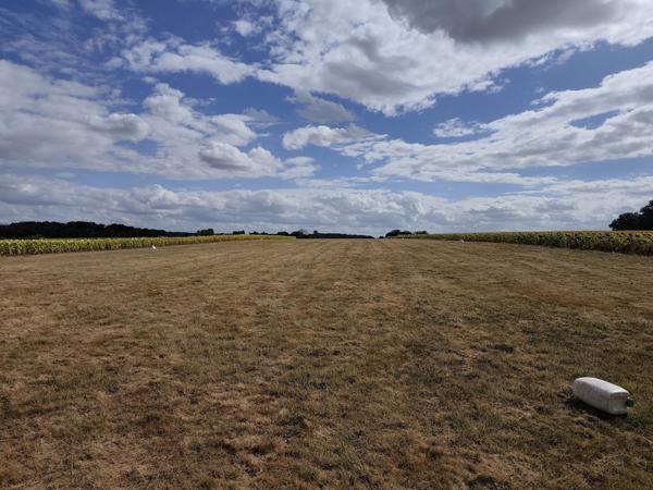 Terrain viabilisé de 3 132 m² avec accès direct à la piste d’aviation – Vicq-sur-Nahon (36600)