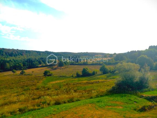 Une bastide de caractère où votre histoire commence... 172 m² à vivre pleinement

Fermez les yeux. Imaginez le crissement du gravier sous vos pas en arrivant chez vous, sur près de 7929 m² de terrain rien qu'à vous. Un havre où les enfants courent, où les repas d'été s'éternisent, où le temps ralentit enfin.

Cette maison de 172 m² n'est pas qu'un bien immobilier : c'est le décor de votre prochain chapitre.

✨ 4 chambres — pour que chacun ait son cocon, son refuge
✨ Une grande pièce à vivre — le cœur battant des soirées en famille et entre amis
✨ Une cuisine séparée — pour cuisiner en toute sérénité, loin du bruit du salon
✨ Un cellier — l'organisation discrète qui change le quotidien
✨ 2 WC + 1 salle d'eau — le confort pensé pour une famille, sans compromis

Et sous vos pieds, un secret que peu de maisons peuvent offrir :
🕯️ Une cave voûtée au charme d'antan, un sous-sol généreux pour tous vos projets — atelier, cave à vin, salle de jeux... à vous d'écrire la suite.

Mais ce n'est pas tout.

Une dépendance de 170 m² environ vient démultiplier les possibilités : garage, atelier, stockage, espace de travail ou projet à transformer selon vos envies. Un volume rare, à la hauteur de la propriété.

🌳 7929 m² de terrain — un espace si rare qu'il se fait précieux. Ici, pas de vis-à-vis, pas de compromis : juste vous, la nature, et l'horizon.

Les biens avec autant de cachet, d'espace et de potentiel ne restent jamais longtemps sur le marché.

📞 Contactez-nous dès aujourd'hui pour organiser votre visite — avant que quelqu'un d'autre n'imagine sa vie ici.