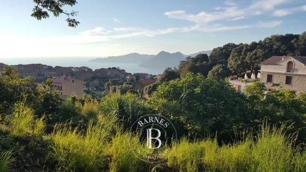 Sagone, Terrain constructible  751 m² à vendre