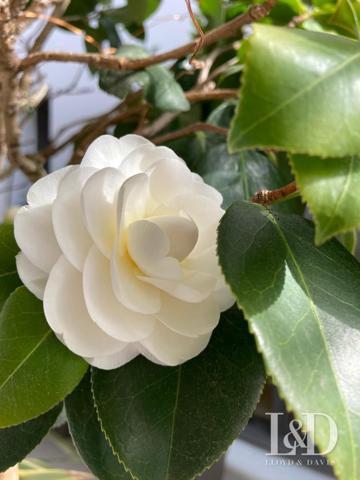 MAISON BIARRITZ AVEC PATIO ET DEPENDANCE